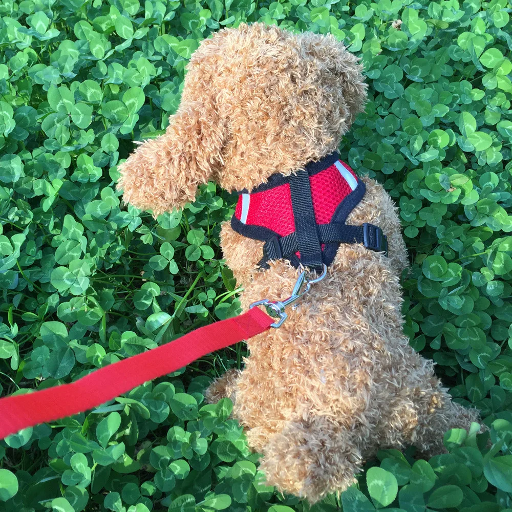 

Dog Cat Pet Adjustable Vest Walking Lead Leash For Puppy Chest Straps Mesh Harness For Small Medium Dog #L