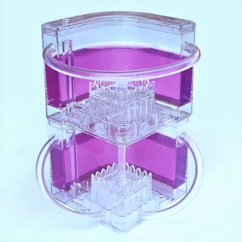 Ant Farm DIY with feeding area ant nest Ant farm acryl Insect ant nests villa pet  for house ants Insect Ecology Box Natural toy (7)