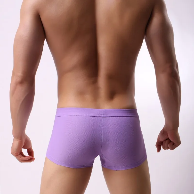 BR1168LT.PURPLE4