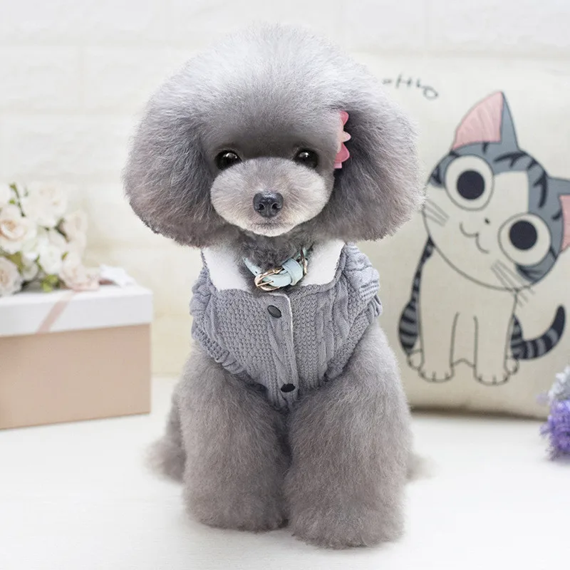 Осенне-зимняя одежда для собак, теплый вязаный акриловый свитер с капюшоном для собак, пальто для маленьких и средних собак, двухногая одежда с хлопковой подкладкой