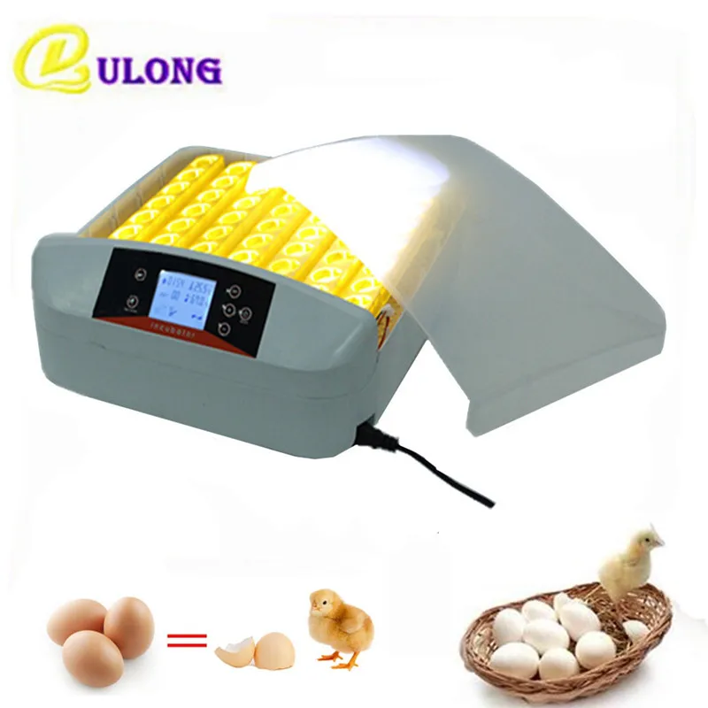 Мини-автоматическое яиц инкубатор цифровой Контроль температуры лотка Хатчер яйца поворота птицы, Инкубационных Машина