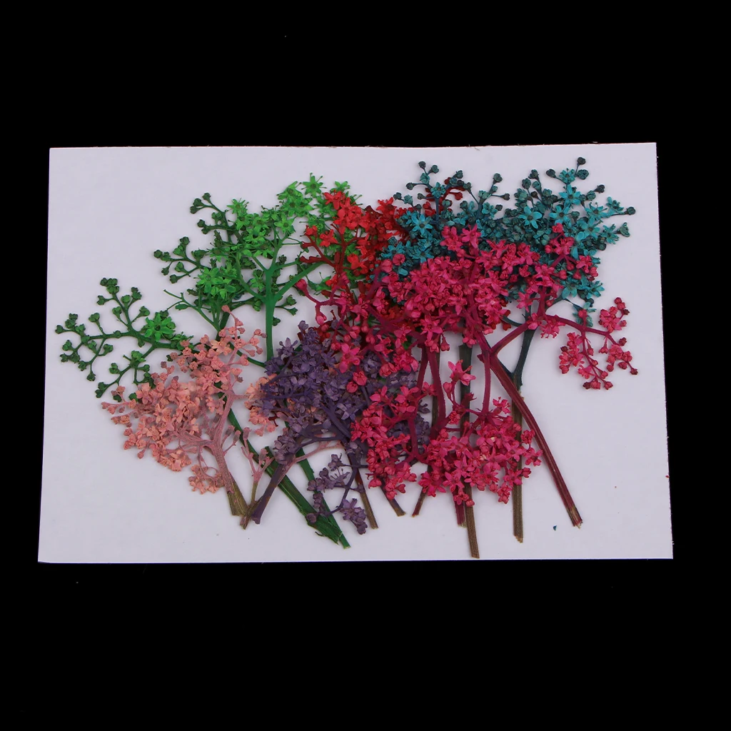 12 Pieces Natural Pressed Real Dried Flower for Soap Candle Making Decor Resin Casting DIY Ornament Craft