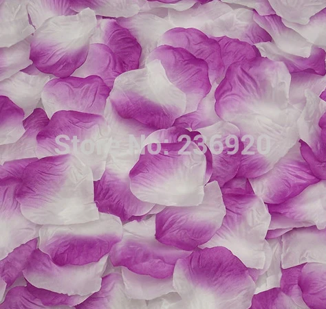 Заказать Лепестки Роз Спб Дешево Проспект Просвещения