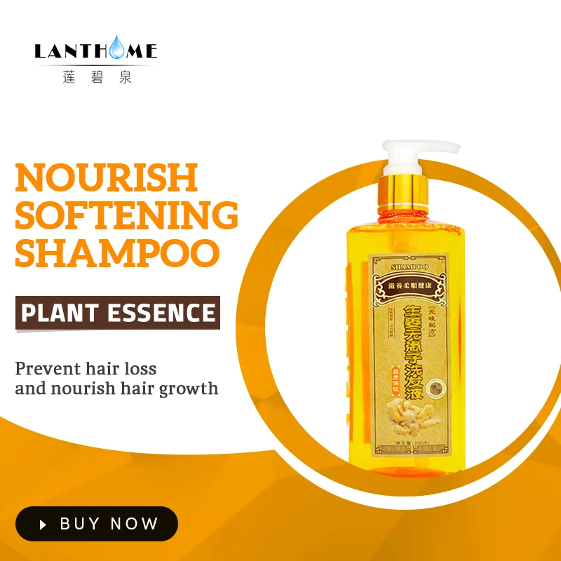 Professional Ginger Shampoo Anti Hair Loss Product Hair ...