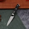 3.5 inch fruit knife
