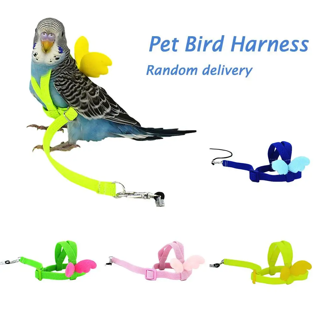 

Bird Leash Parrot Outdoor Training Ostrich Rope Strap Wing Flying Traction Device