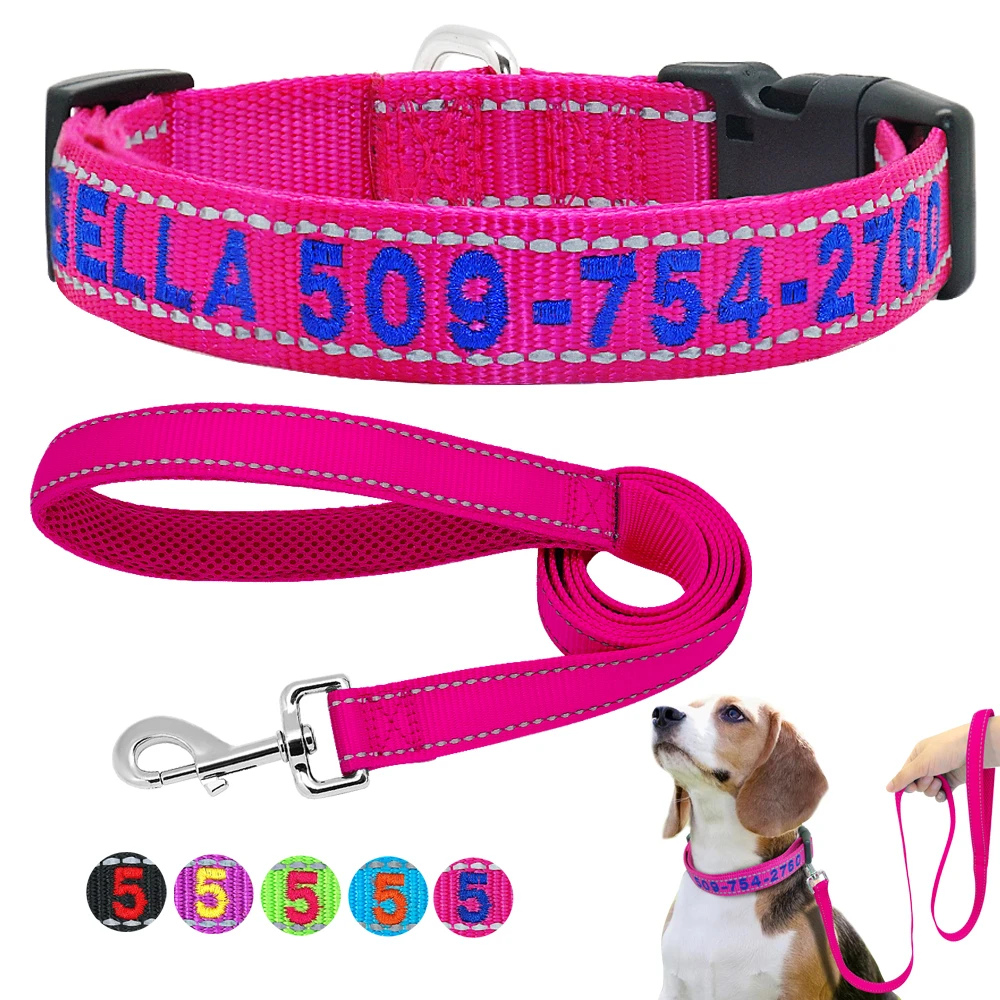 puppy dog collar and lead
