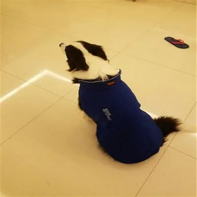 Спорт на открытом воздухе большое пальто для собаки теплое ветрозащитное большое пальто для домашних животных флисовый плащ верхняя одежда для средних собак(S-XXXL