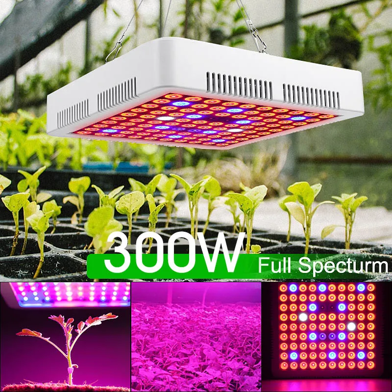 

300W LED Grow Light Hydroponic Full Spectrum For Veg Flower Indoor Plant Seeds Indoor Plants Growing Greenhouse Lighting