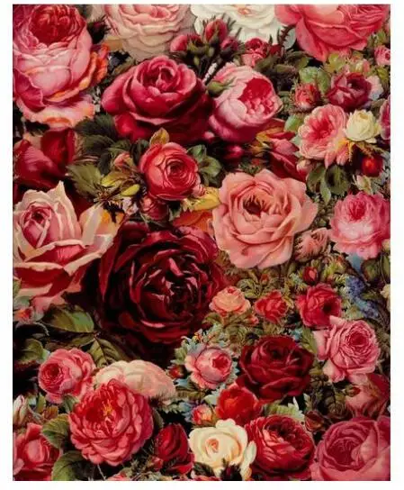 

5920 Romantic Red Rose - Paint by Numbers Kits for Adults DIY