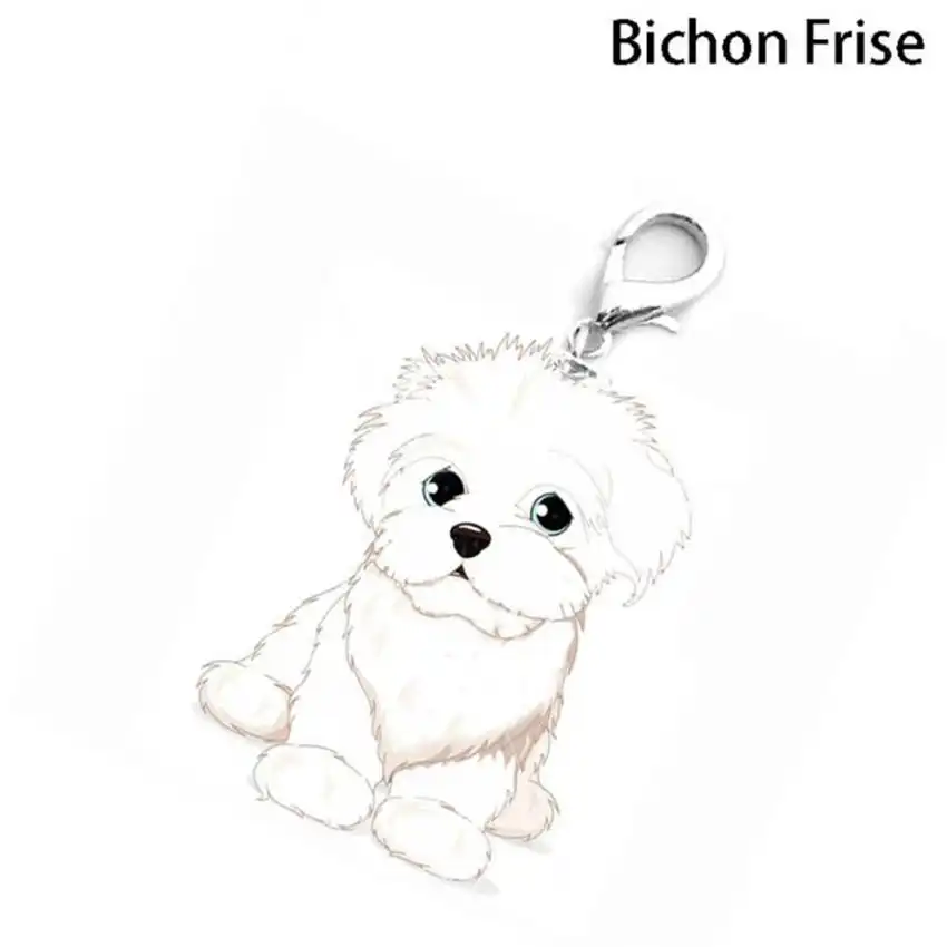 bichon frise accessories