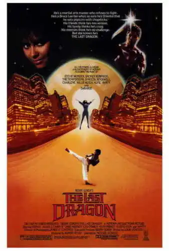 THE LAST DRAGON Movie Taimak Vanity Christopher Murney SILK POSTER Wall painting