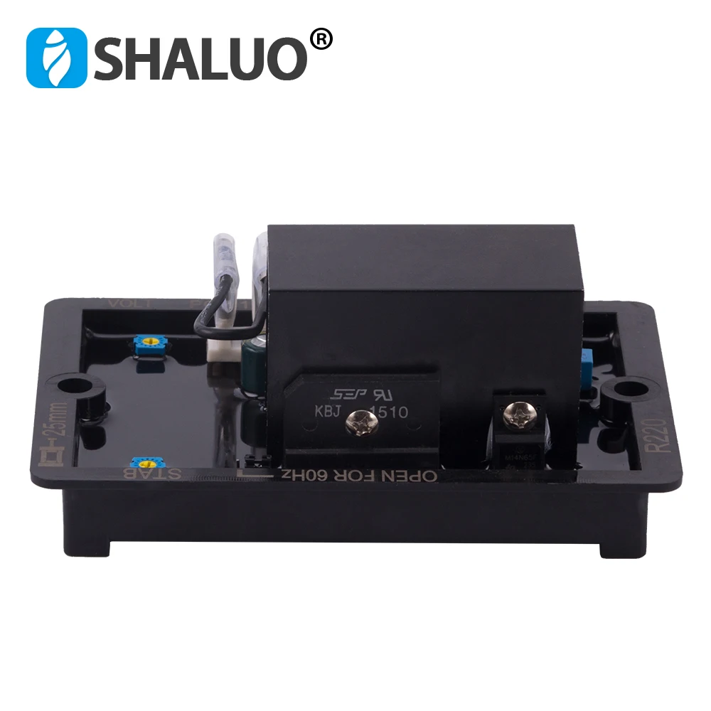 R220 AVR (6)