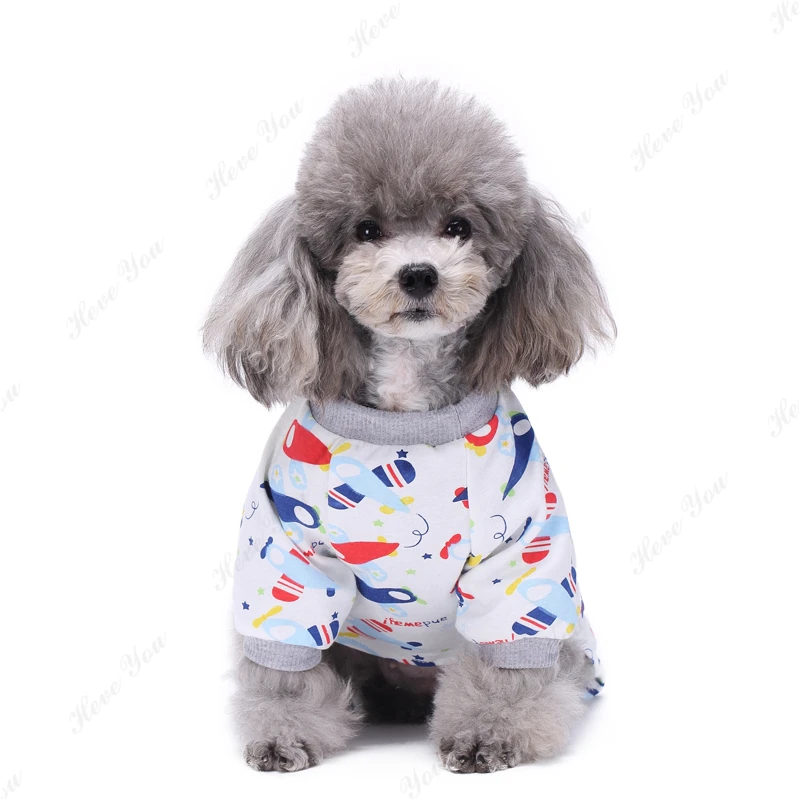 Dog_2508