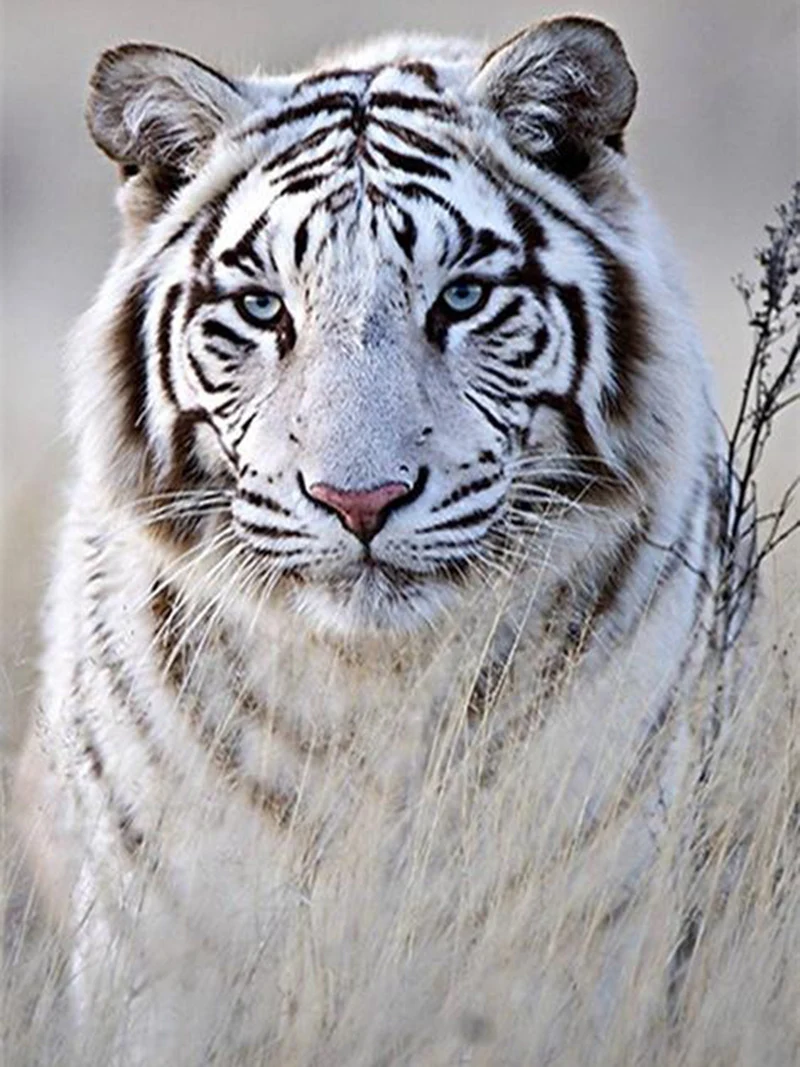 product-image-676979034_2048x