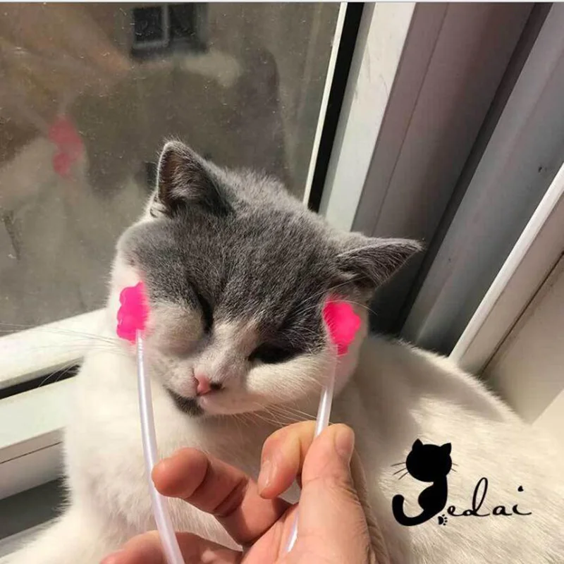 QQ20180602125533