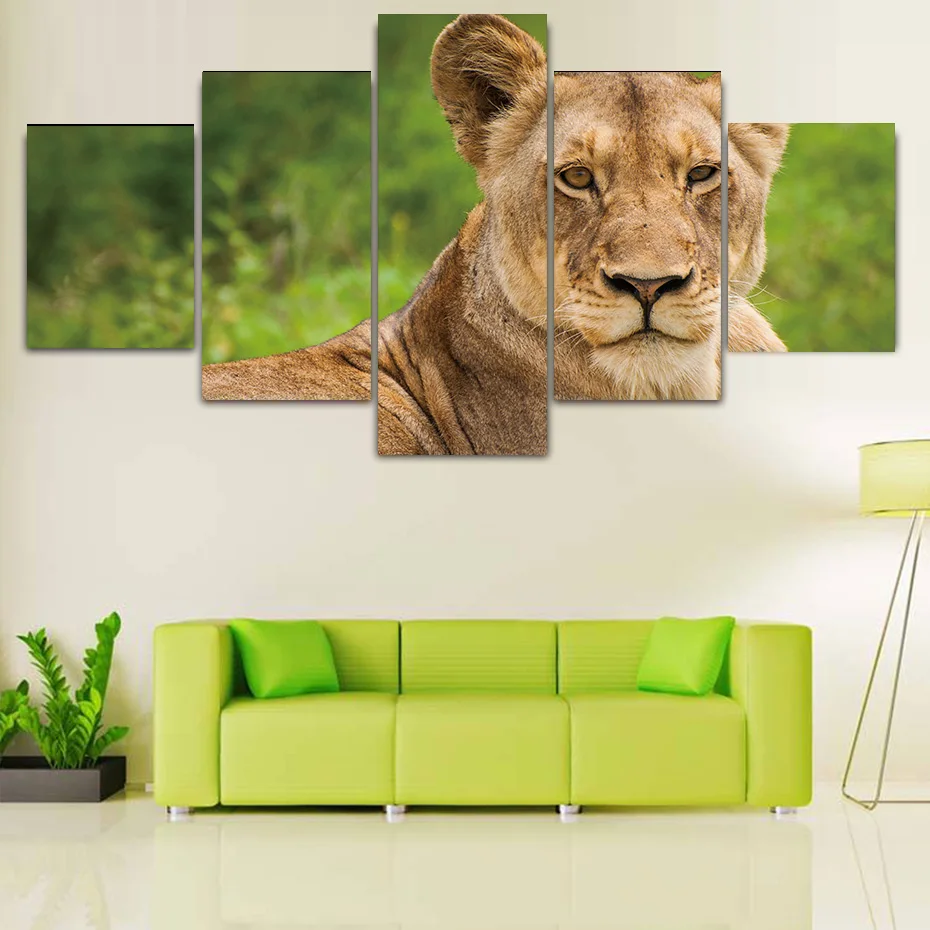 

5Pcs Funny Lioness Posters Prints Nordic Animal Canvas Painting Modern Art Pictures For Living Room Bedroom Home Decor No Frame