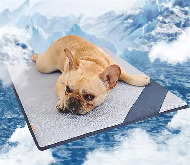Pet Sleep Mat Simple Creative Cool Cat Sleep Mat Dog Sleep Mat Pet
