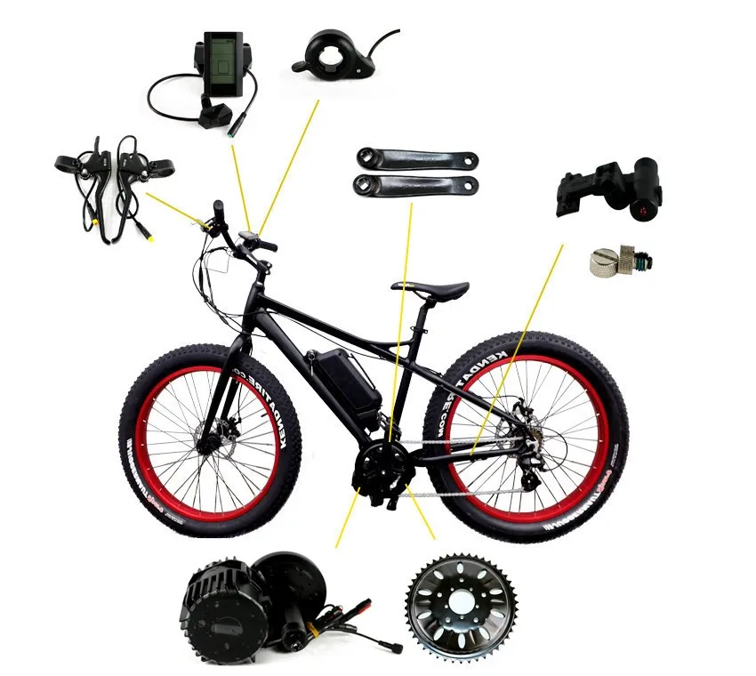 bicycle distributor