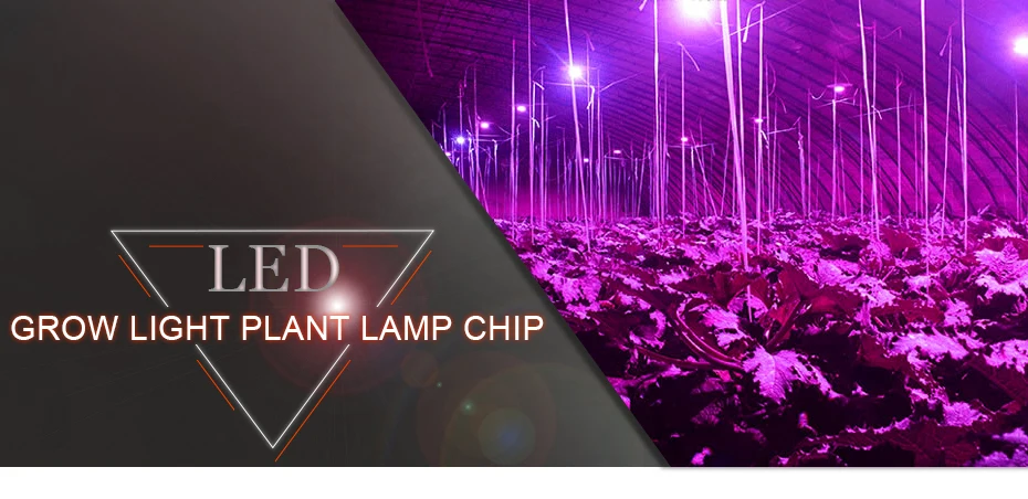 Чип для выращивания света 1500LM 2200Lm 4000лм светодиодный чип-лампа полного спектра для растений 380нм~ 780нм светодиодный свет 220 В светодиодный чип-прожектор