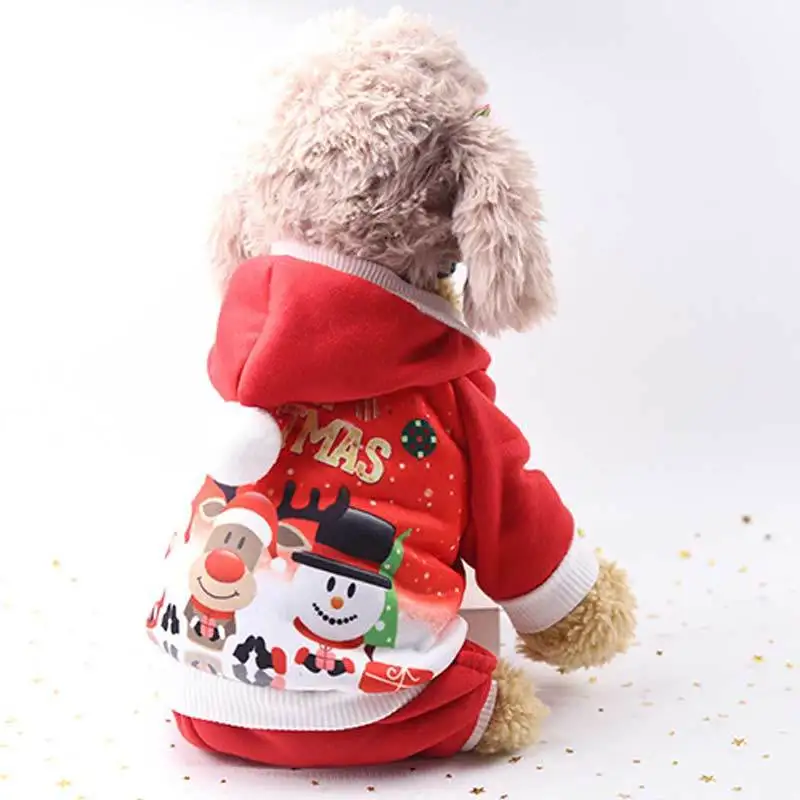 terrier yorkshire clothes