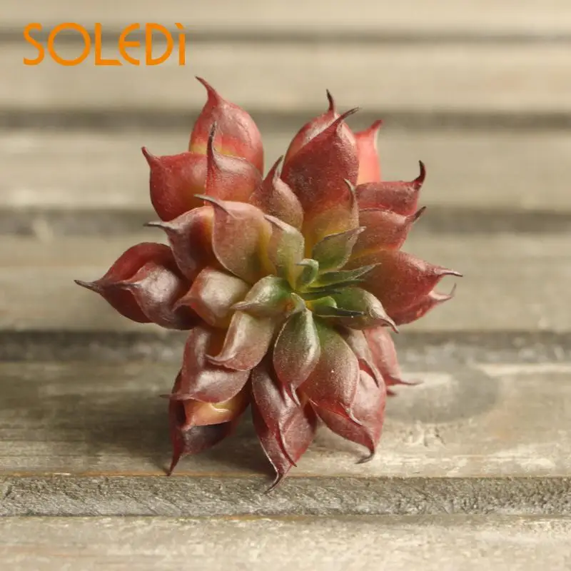 

Land Lotus Rare Plant Garden Succulent Grass Artificial Plants Garden Decor
