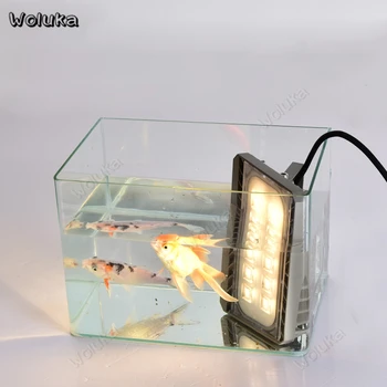

LED Outdoor flood Lamp waterproof spotlight Cree light source high power advertising sign lighting KST CD05 W01