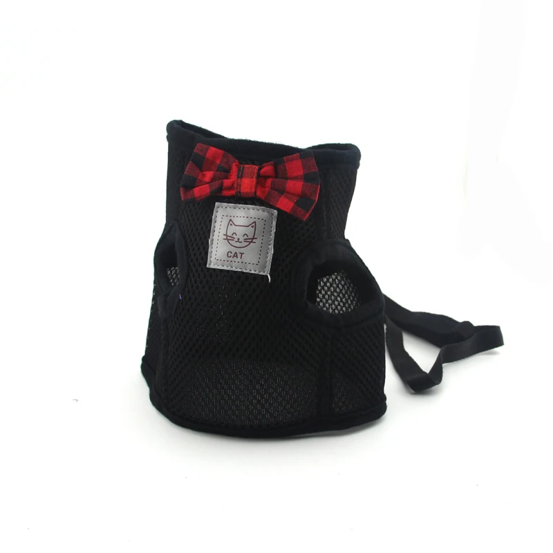 IMG_4396