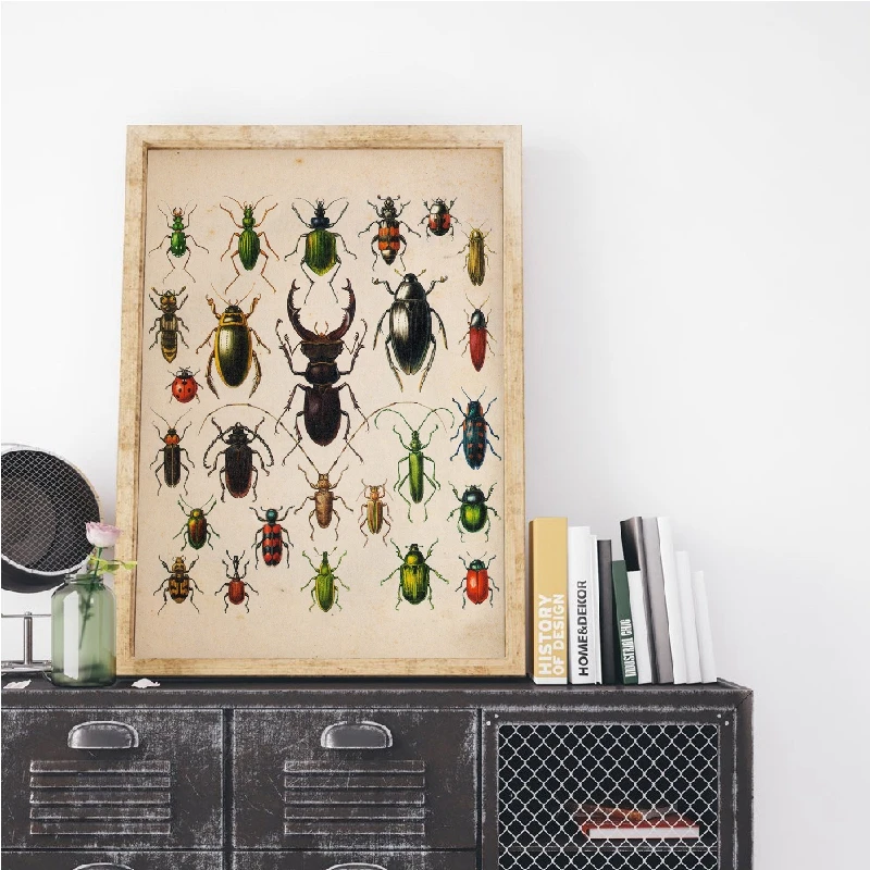 Beetle Collection Vintage Poster Prints Home Wall Art Decor