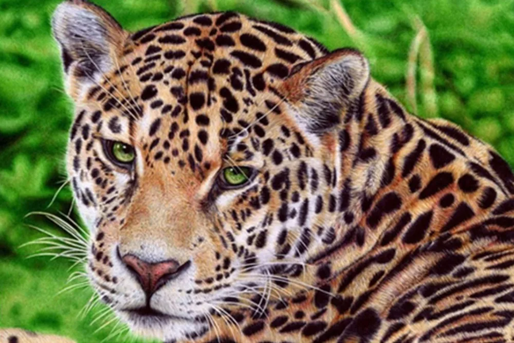 

5D Diy Diamond Painting Cross Stitch Highly Alert Leopard Needlework Diamond Embroidery Full Round Mosaic Decoration Resin Kits