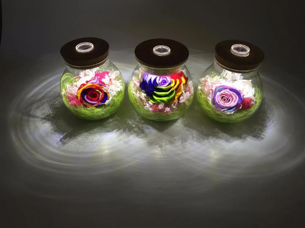 New-Micro-Landscape-Jar-Can-Bring-Multi-function-LED-Light-Moss-Ecological-Bottle-Ecological-Bottle-Wedding