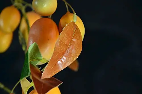 Rinlong Artificial Mango Branch (3)
