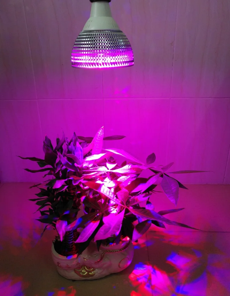 Grow