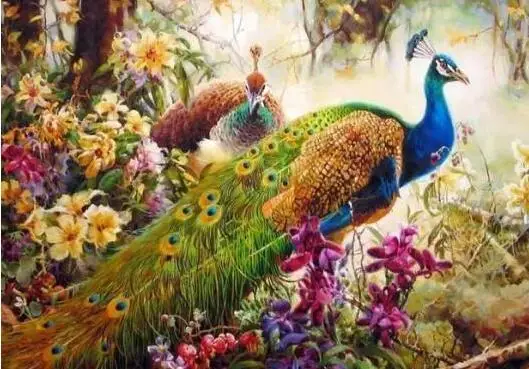 Peacock - Paint by Numbers Kits for Adults DIY | Дом и сад