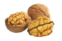 100% правда орех питательные орехи дерево органических фруктов для домашний сад здоровый Еда растений 1 шт./упак