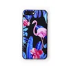 flamingos 4