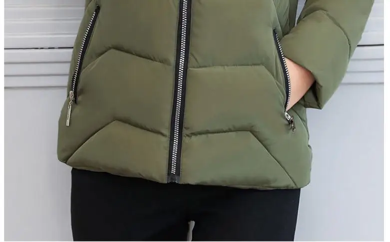 36020181114102131751