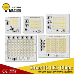 SMD LED чип лампы 220 V Smart IC 10 W 20 W 30 W 50 W 100 W высокой Мощность 2835 Светодиодный прожектор Garden DIY для наружного прожектор бусинами