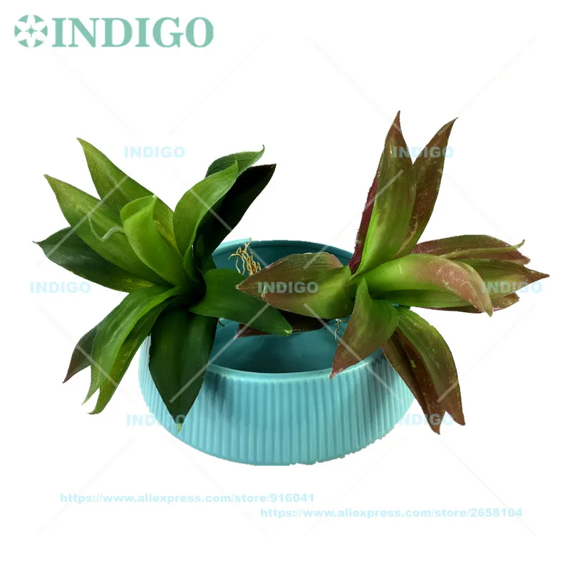 Индиго- 120 шт Новая Зеландия орхидеи большой размер растение суккулент пластиковый цветок стены фон Зеленый завод