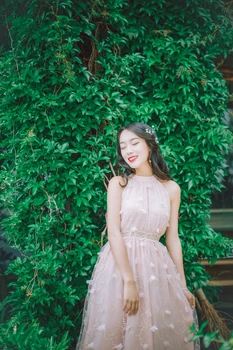 

Freeship light pink 3d flowers lace embroidery long dress gown Medieval dress Renaissance Gown vintage Victoria dress