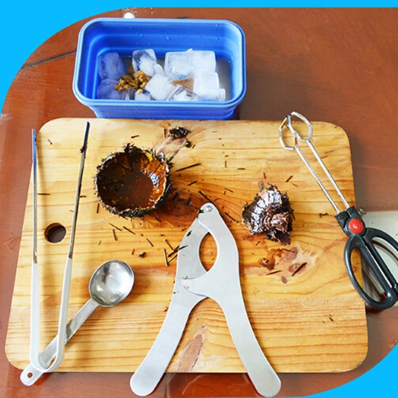 

Stainless Steel Sea Urchin Opener Echinus Tongs Seafood Scissor Chestnut Open Cutter Knifes Kinchen Seafood Cooking Tools