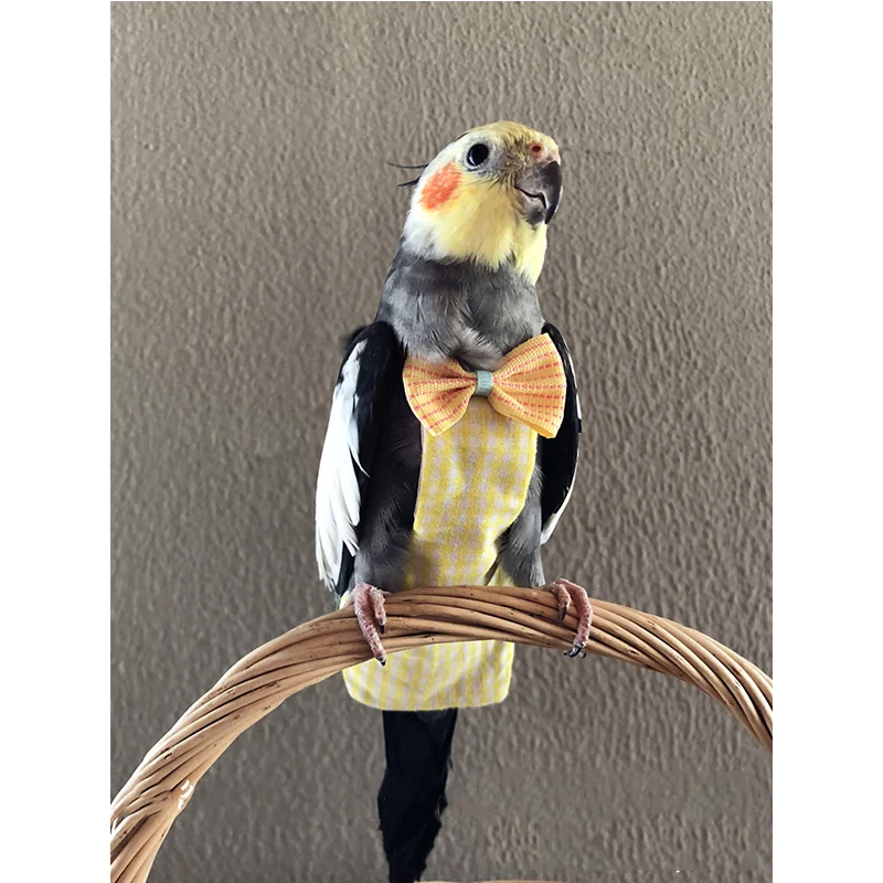 

Customized original bird flying suit diaper pocket cotton waterproof parrot clothes lime Urine pad