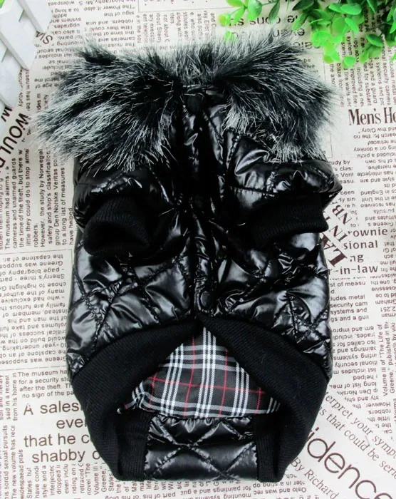 PC1175a (1)