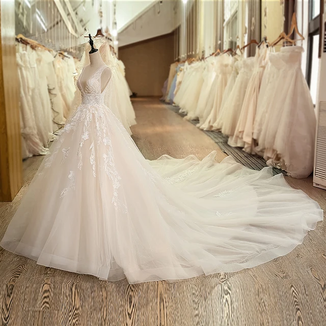 SL-6040 Church Plus Size Deep V-Neck Pleats Wedding Dress 2019 Backless Long Train Crystal Lace Wedding Gown 3