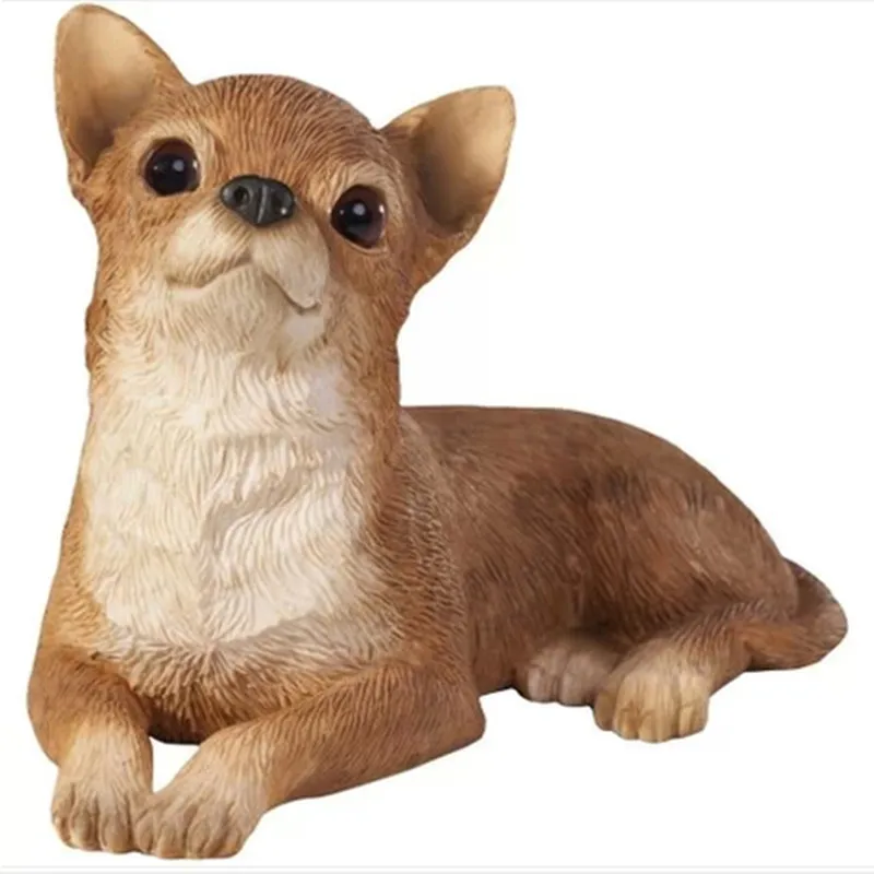 Chihuahua.jpg