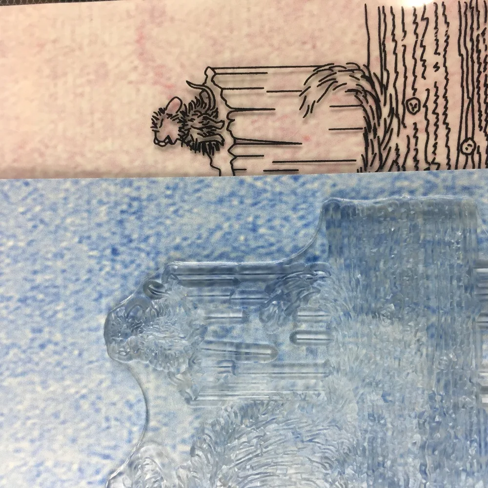 11 (5)