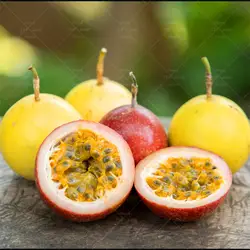 Карликовые деревья шт./пакет 100 Passion Fruit завод органический Сладкий съедобные фрукты посадки в горшках дерево для дома Садовые