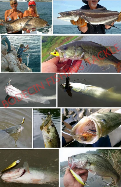 1 sztuk Sea Bass twarde połowów przynęty 3D Fish Jointed Wobblers Laser Minnow Pike Jerkbait Pesca Korbaits sztuczna przynęta Saltwater tanie i dobre opinie hard fishing lure Rzeka zbiornik staw Ocean Boat Fishing Ocean Beach wędkowanie strumień jezioro BODECIN BODECIN - sea bass lures 1 sztuk Sea Bass twarde połowów przynęty 3D Fish Jointed Wobblers Laser Minnow Pike Jerkbait Pesca Korbaits sztuczna przynęta Saltwater tanie i dobre opinie hard fishing lure Rzeka zbiornik staw Ocean Boat Fishing Ocean Beach wędkowanie strumień jezioro BODECIN BODECIN - sea bass lures