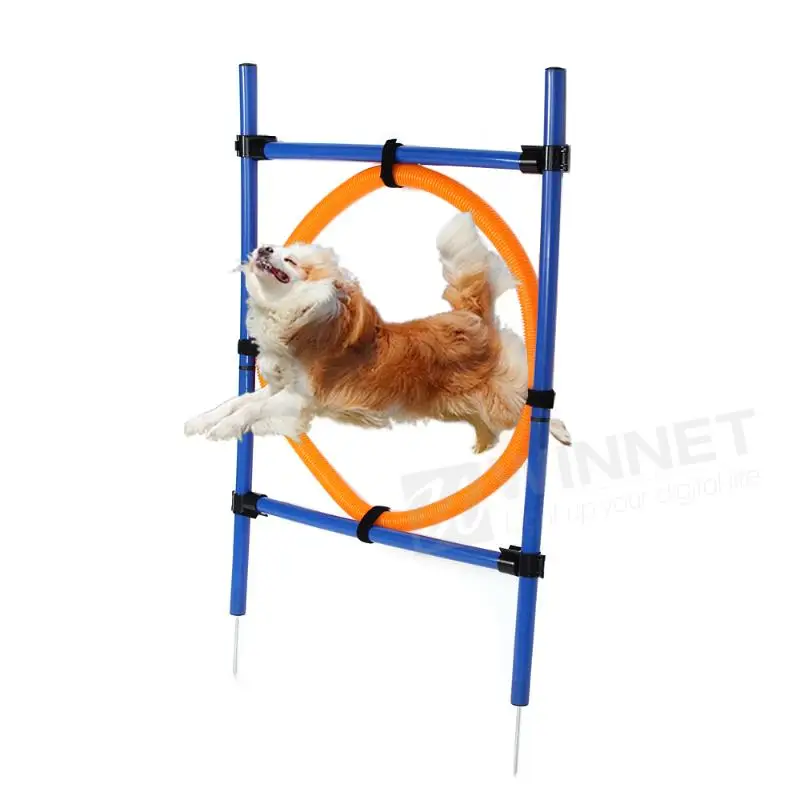 Pet Jump Training Hoop Agility Dog Thru Equipment Show Obedience Tunnel