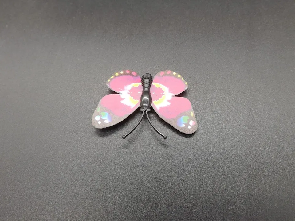 I250-Butterfly (8)